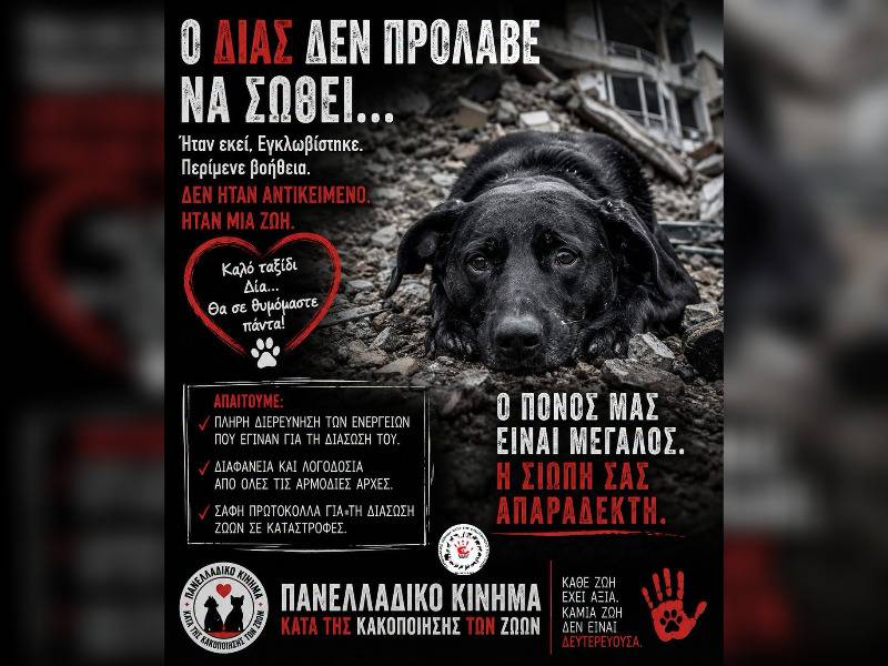 Κακοποίηση ζώων και ακτιβισμός - Η αδέσμευτη φωνή των τετράποδων