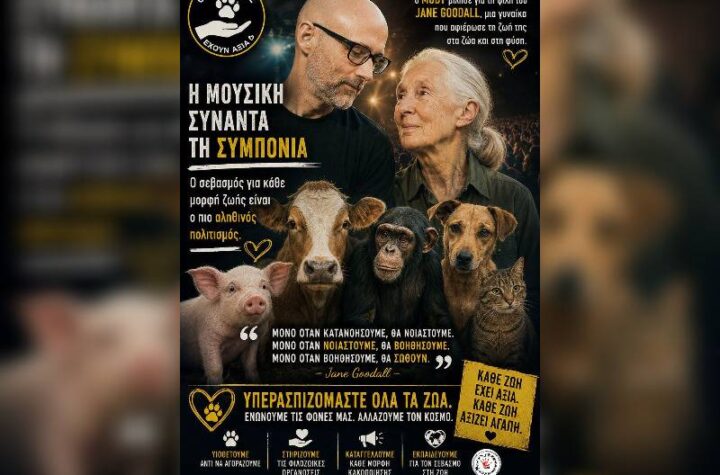 Κακοποίηση ζώων και ακτιβισμός - Η αδέσμευτη φωνή των τετράποδων