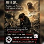 Κακοποίηση ζώων και ακτιβισμός - Η αδέσμευτη φωνή των τετράποδων