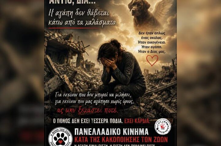 Κακοποίηση ζώων και ακτιβισμός - Η αδέσμευτη φωνή των τετράποδων