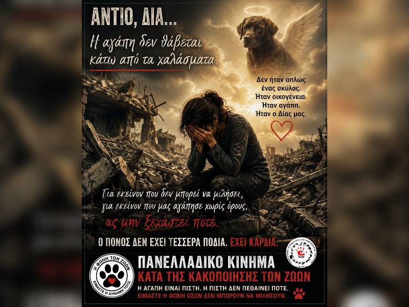 Κακοποίηση ζώων και ακτιβισμός - Η αδέσμευτη φωνή των τετράποδων