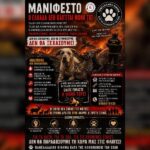 Κακοποίηση ζώων και ακτιβισμός - Η αδέσμευτη φωνή των τετράποδων