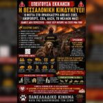Κακοποίηση ζώων και ακτιβισμός - Η αδέσμευτη φωνή των τετράποδων