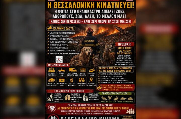 Κακοποίηση ζώων και ακτιβισμός - Η αδέσμευτη φωνή των τετράποδων