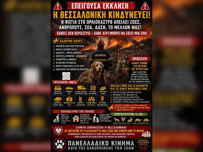 Κακοποίηση ζώων και ακτιβισμός - Η αδέσμευτη φωνή των τετράποδων