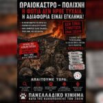Κακοποίηση ζώων και ακτιβισμός - Η αδέσμευτη φωνή των τετράποδων