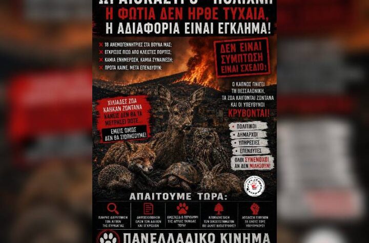 Κακοποίηση ζώων και ακτιβισμός - Η αδέσμευτη φωνή των τετράποδων