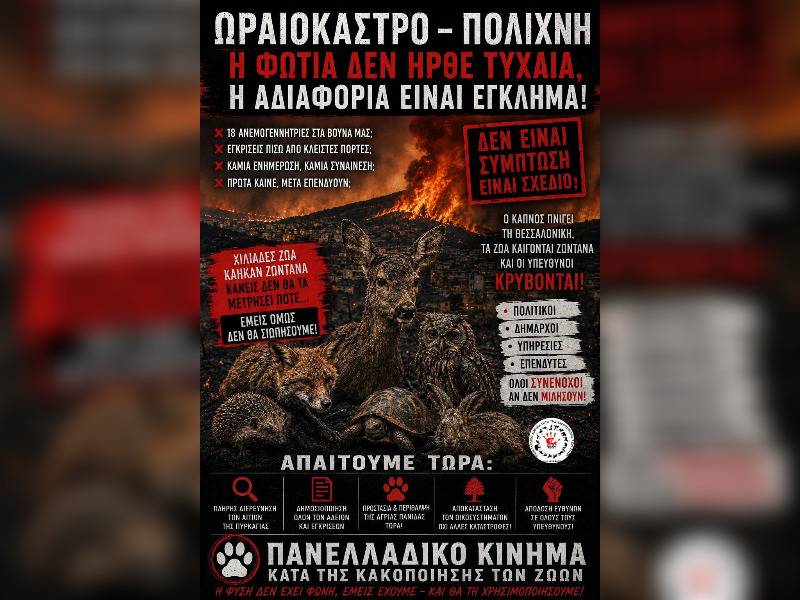 Κακοποίηση ζώων και ακτιβισμός - Η αδέσμευτη φωνή των τετράποδων