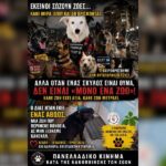 Κακοποίηση ζώων και ακτιβισμός - Η αδέσμευτη φωνή των τετράποδων