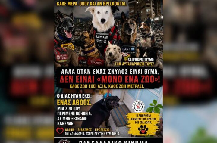 Κακοποίηση ζώων και ακτιβισμός - Η αδέσμευτη φωνή των τετράποδων