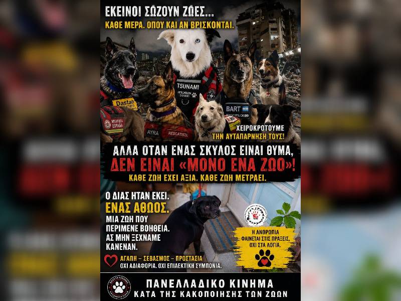 Κακοποίηση ζώων και ακτιβισμός - Η αδέσμευτη φωνή των τετράποδων