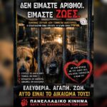 Κακοποίηση ζώων και ακτιβισμός - Η αδέσμευτη φωνή των τετράποδων
