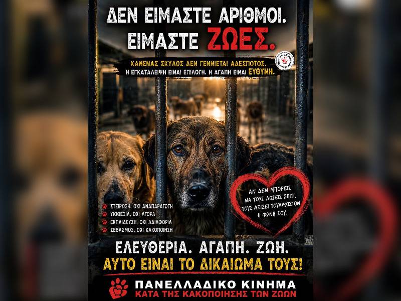 Κακοποίηση ζώων και ακτιβισμός - Η αδέσμευτη φωνή των τετράποδων