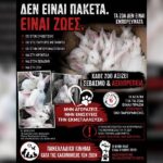 Κακοποίηση ζώων και ακτιβισμός - Η αδέσμευτη φωνή των τετράποδων