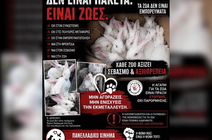 Κακοποίηση ζώων και ακτιβισμός - Η αδέσμευτη φωνή των τετράποδων