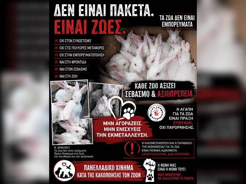 Κακοποίηση ζώων και ακτιβισμός - Η αδέσμευτη φωνή των τετράποδων