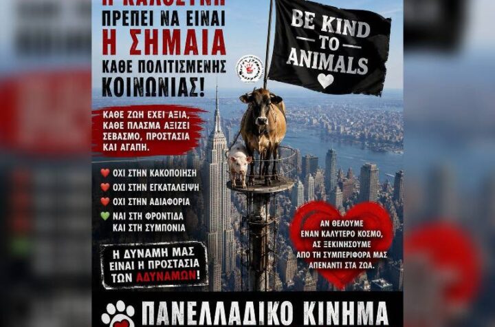 Κακοποίηση ζώων και ακτιβισμός - Η αδέσμευτη φωνή των τετράποδων