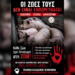 Κακοποίηση ζώων και ακτιβισμός - Η αδέσμευτη φωνή των τετράποδων