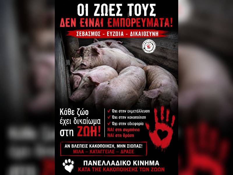 Κακοποίηση ζώων και ακτιβισμός - Η αδέσμευτη φωνή των τετράποδων