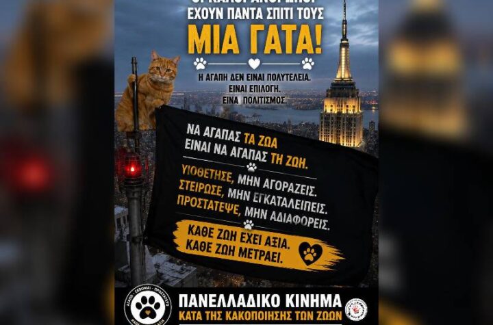 Κακοποίηση ζώων και ακτιβισμός - Η αδέσμευτη φωνή των τετράποδων