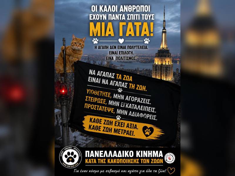 Κακοποίηση ζώων και ακτιβισμός - Η αδέσμευτη φωνή των τετράποδων