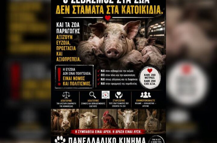 Κακοποίηση ζώων και ακτιβισμός - Η αδέσμευτη φωνή των τετράποδων