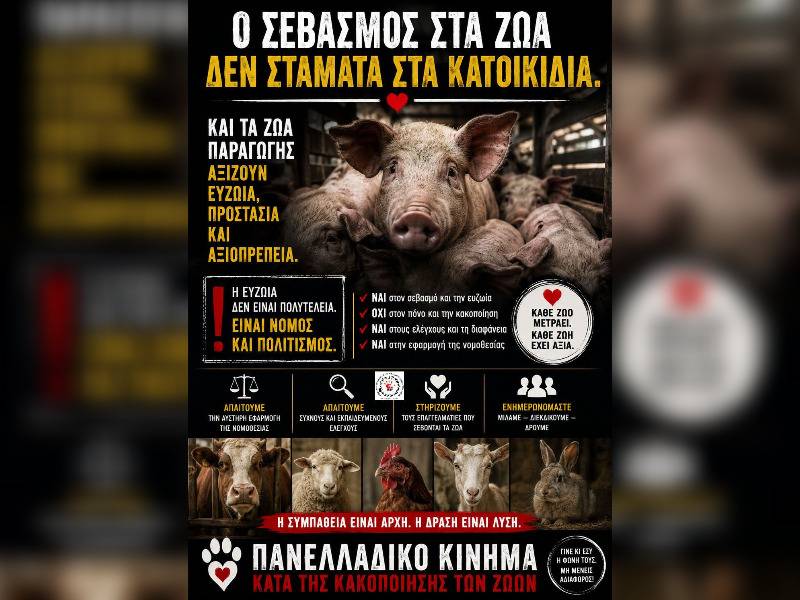 Κακοποίηση ζώων και ακτιβισμός - Η αδέσμευτη φωνή των τετράποδων