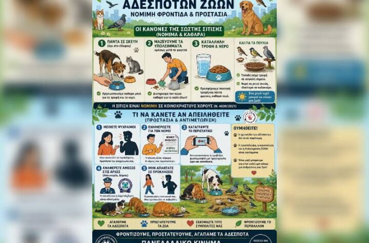 Κακοποίηση ζώων και ακτιβισμός - Η αδέσμευτη φωνή των τετράποδων