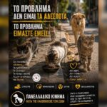 Κακοποίηση ζώων και ακτιβισμός - Η αδέσμευτη φωνή των τετράποδων