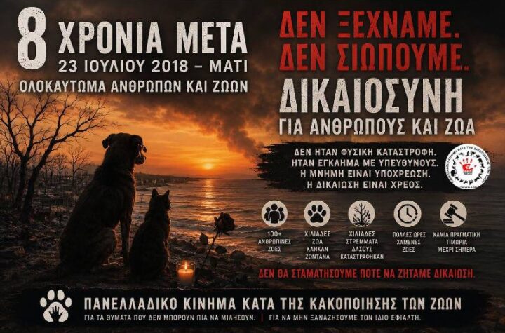 Κακοποίηση ζώων και ακτιβισμός - Η αδέσμευτη φωνή των τετράποδων