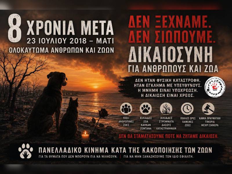 Κακοποίηση ζώων και ακτιβισμός - Η αδέσμευτη φωνή των τετράποδων