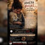 Κακοποίηση ζώων και ακτιβισμός - Η αδέσμευτη φωνή των τετράποδων