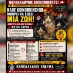 Κακοποίηση ζώων και ακτιβισμός - Η αδέσμευτη φωνή των τετράποδων