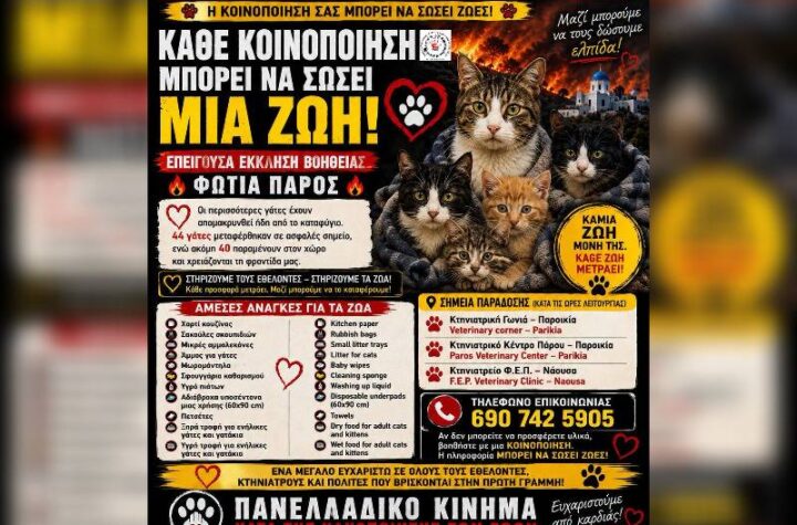 Κακοποίηση ζώων και ακτιβισμός - Η αδέσμευτη φωνή των τετράποδων