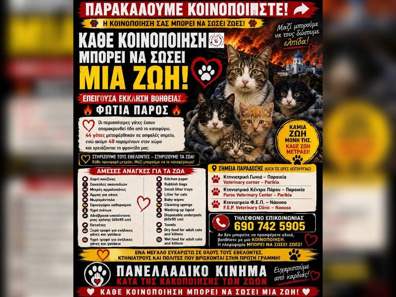 Κακοποίηση ζώων και ακτιβισμός - Η αδέσμευτη φωνή των τετράποδων