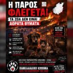 Κακοποίηση ζώων και ακτιβισμός - Η αδέσμευτη φωνή των τετράποδων
