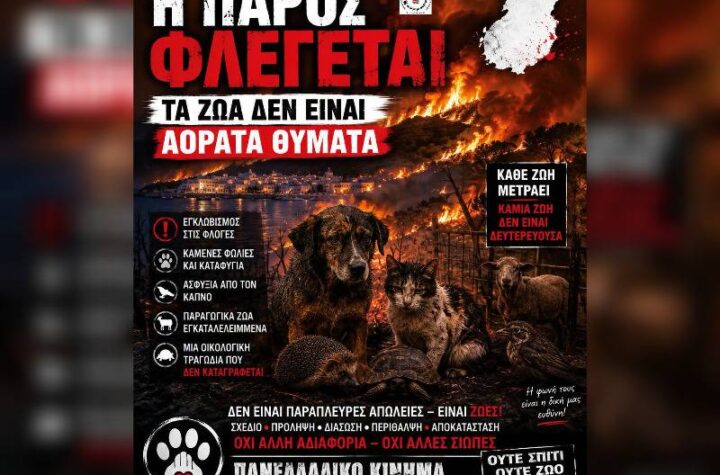 Κακοποίηση ζώων και ακτιβισμός - Η αδέσμευτη φωνή των τετράποδων