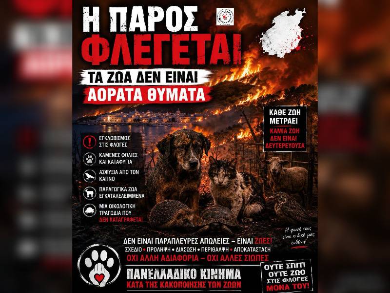 Κακοποίηση ζώων και ακτιβισμός - Η αδέσμευτη φωνή των τετράποδων