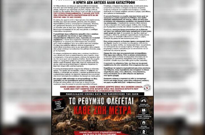 Κακοποίηση ζώων και ακτιβισμός - Η αδέσμευτη φωνή των τετράποδων