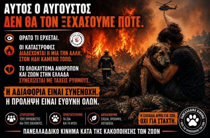 Κακοποίηση ζώων και ακτιβισμός - Η αδέσμευτη φωνή των τετράποδων