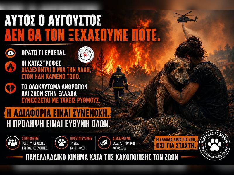 Κακοποίηση ζώων και ακτιβισμός - Η αδέσμευτη φωνή των τετράποδων