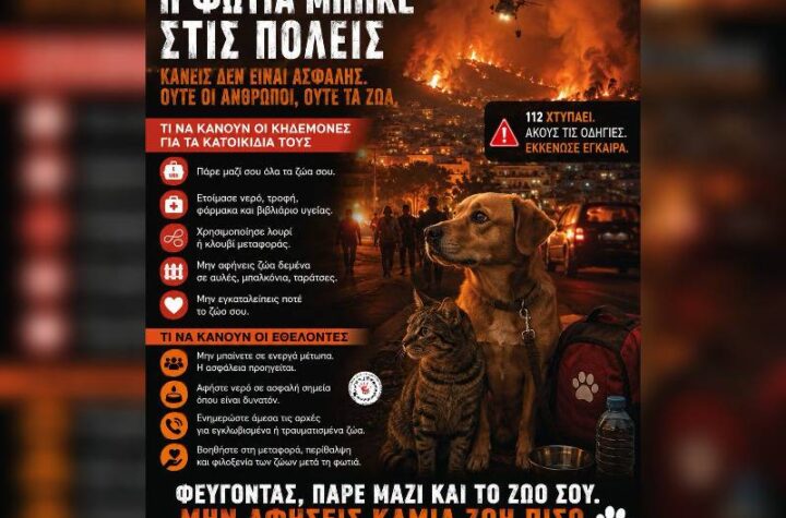 Κακοποίηση ζώων και ακτιβισμός - Η αδέσμευτη φωνή των τετράποδων