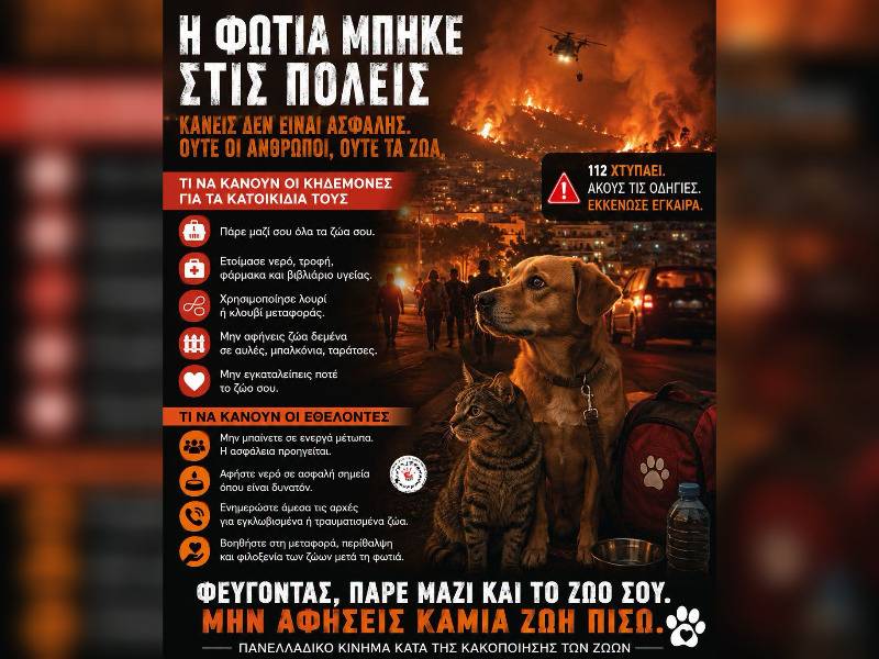 Κακοποίηση ζώων και ακτιβισμός - Η αδέσμευτη φωνή των τετράποδων