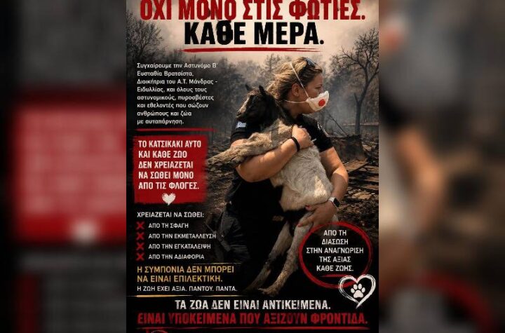 Κακοποίηση ζώων και ακτιβισμός - Η αδέσμευτη φωνή των τετράποδων