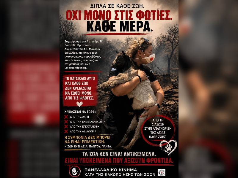 Κακοποίηση ζώων και ακτιβισμός - Η αδέσμευτη φωνή των τετράποδων