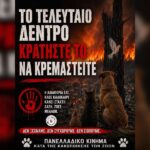 ΓΙΑ ΤΟ ΟΛΟΚΑΥΤΩΜΑ ΤΗΣ ΕΛΛΑΔΑΣ, ΤΟ ΤΕΛΕΥΤΑΙΟ ΔΕΝΤΡΟ, ΚΡΑΤΗΣΤΕ ΤΟ ΝΑ ΚΡΕΜΑΣΤΕΙΤΕ