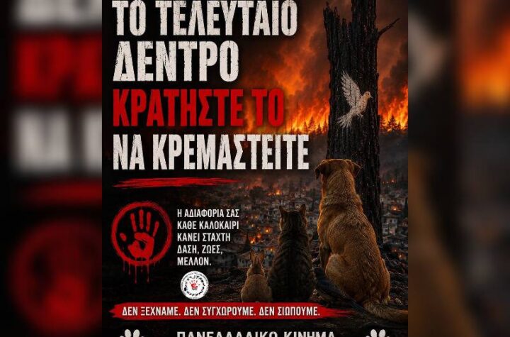 Κακοποίηση ζώων και ακτιβισμός - Η αδέσμευτη φωνή των τετράποδων