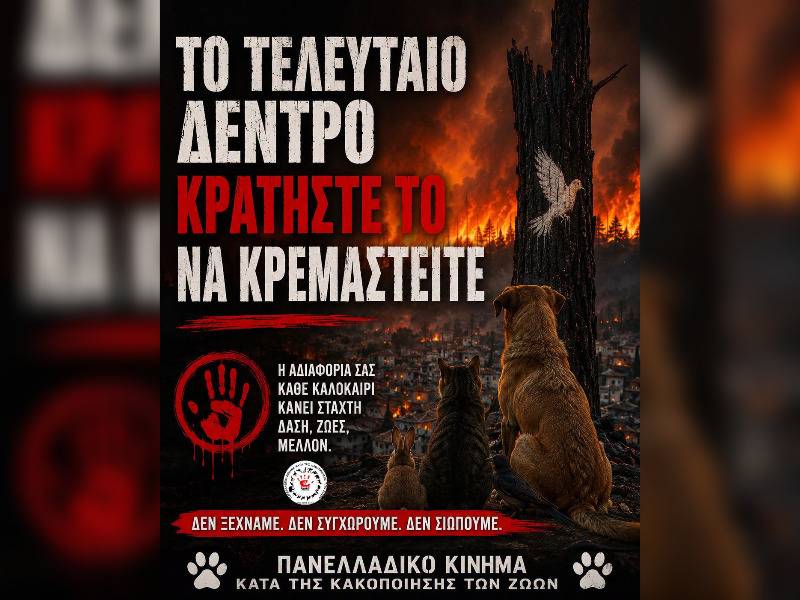Κακοποίηση ζώων και ακτιβισμός - Η αδέσμευτη φωνή των τετράποδων