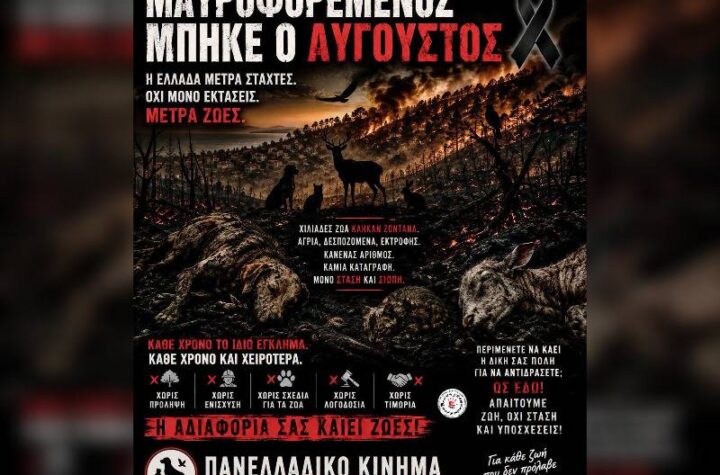 Κακοποίηση ζώων και ακτιβισμός - Η αδέσμευτη φωνή των τετράποδων