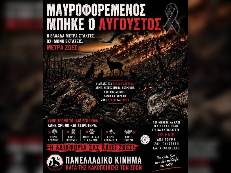 Κακοποίηση ζώων και ακτιβισμός - Η αδέσμευτη φωνή των τετράποδων